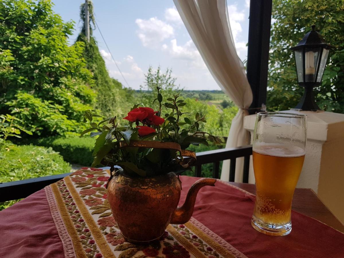 Dwór na Wichrowym Wzgórzu Acomodação com café da manhã Przybysławice Exterior foto