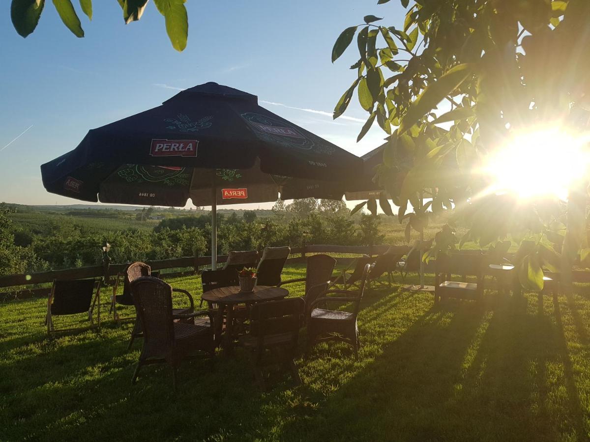 Dwór na Wichrowym Wzgórzu Acomodação com café da manhã Przybysławice Exterior foto
